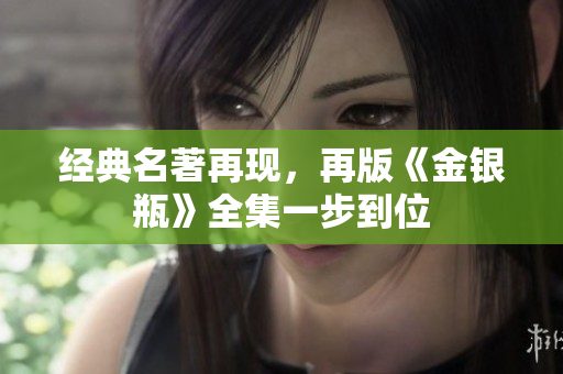 经典名著再现，再版《金银瓶》全集一步到位