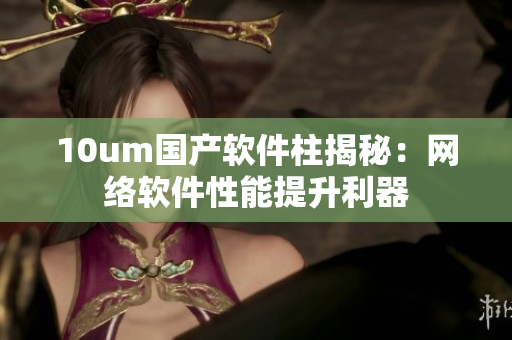 10um国产软件柱揭秘：网络软件性能提升利器