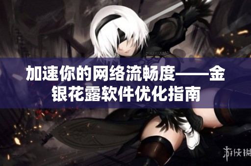 加速你的网络流畅度——金银花露软件优化指南