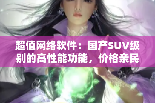 超值网络软件：国产SUV级别的高性能功能，价格亲民
