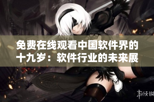 免费在线观看中国软件界的十九岁：软件行业的未来展望