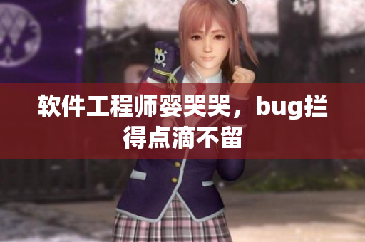 软件工程师婴哭哭，bug拦得点滴不留