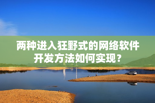 两种进入狂野式的网络软件开发方法如何实现？
