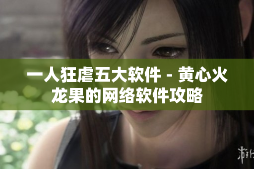 一人狂虐五大软件 - 黄心火龙果的网络软件攻略