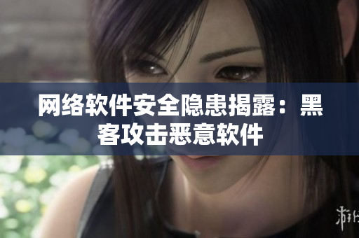 网络软件安全隐患揭露：黑客攻击恶意软件