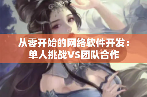 从零开始的网络软件开发：单人挑战VS团队合作