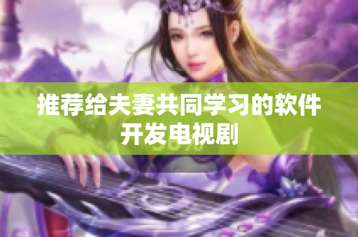 推荐给夫妻共同学习的软件开发电视剧