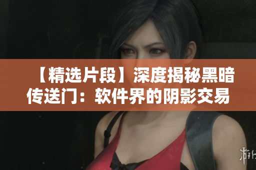 【精选片段】深度揭秘黑暗传送门：软件界的阴影交易？