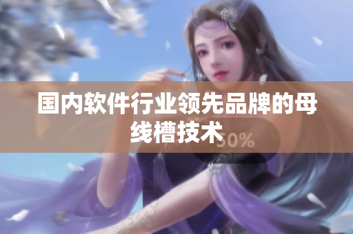 国内软件行业领先品牌的母线槽技术