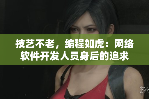 技艺不老，编程如虎：网络软件开发人员身后的追求