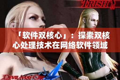 「软件双核心」：探索双核心处理技术在网络软件领域的应用
