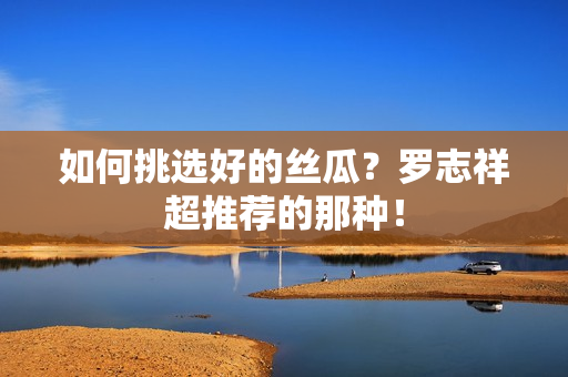 如何挑选好的丝瓜？罗志祥超推荐的那种！
