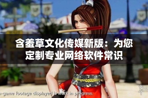 含羞草文化传媒新版：为您定制专业网络软件常识