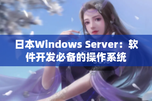 日本Windows Server：软件开发必备的操作系统