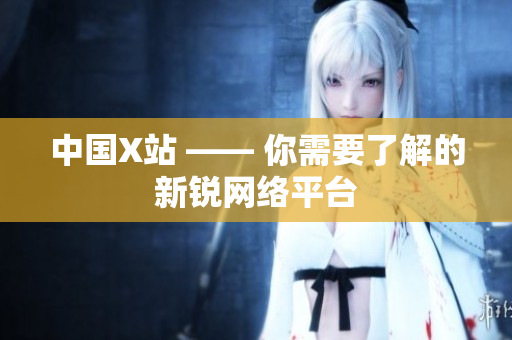 中国X站 —— 你需要了解的新锐网络平台