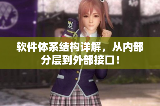 软件体系结构详解，从内部分层到外部接口！