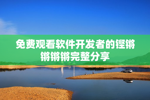 免费观看软件开发者的铿锵锵锵锵完整分享