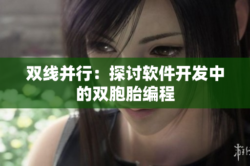 双线并行：探讨软件开发中的双胞胎编程