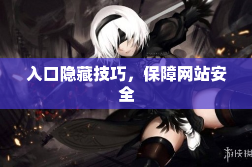 入口隐藏技巧，保障网站安全