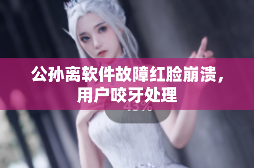 公孙离软件故障红脸崩溃，用户咬牙处理