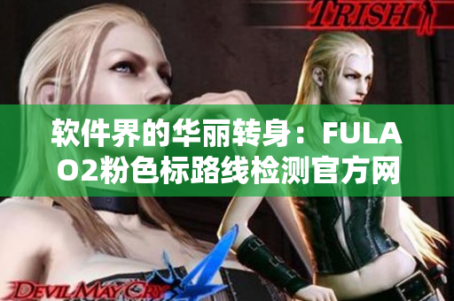 软件界的华丽转身：FULAO2粉色标路线检测官方网站闪亮登场！