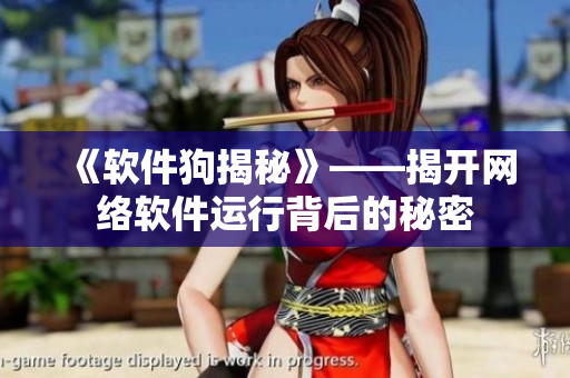 《软件狗揭秘》——揭开网络软件运行背后的秘密