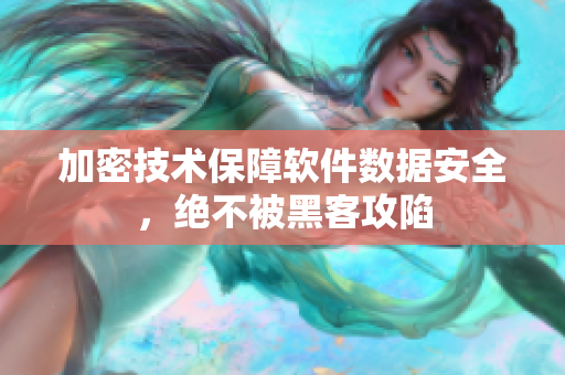 加密技术保障软件数据安全，绝不被黑客攻陷