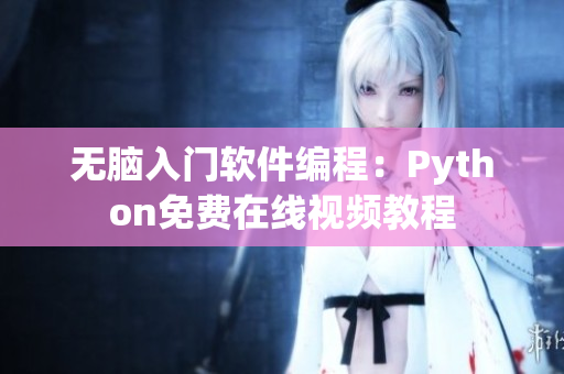 无脑入门软件编程：Python免费在线视频教程