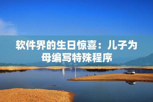 软件界的生日惊喜：儿子为母编写特殊程序
