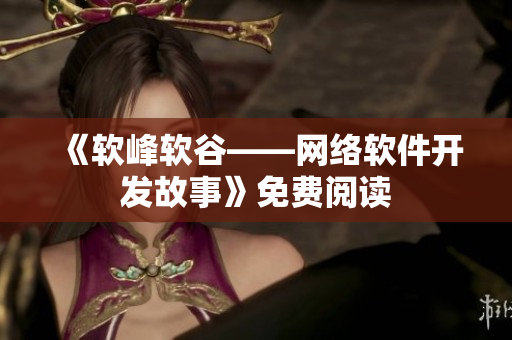 《软峰软谷——网络软件开发故事》免费阅读