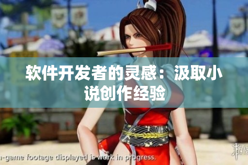 软件开发者的灵感：汲取小说创作经验