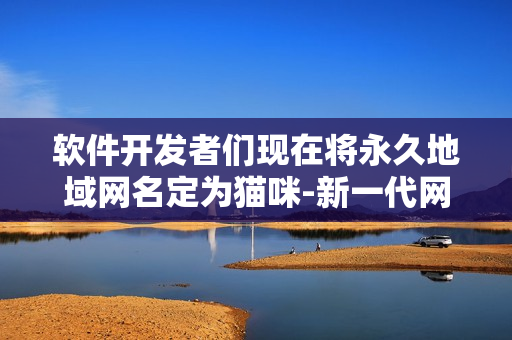 软件开发者们现在将永久地域网名定为猫咪-新一代网络安全软件