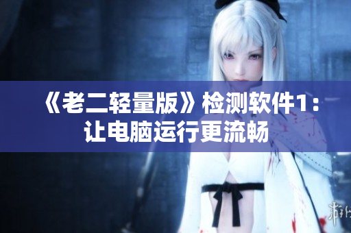 《老二轻量版》检测软件1：让电脑运行更流畅