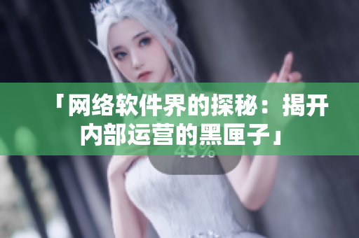 「网络软件界的探秘：揭开内部运营的黑匣子」