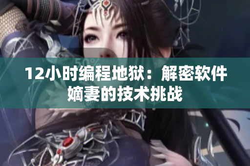 12小时编程地狱：解密软件嫡妻的技术挑战