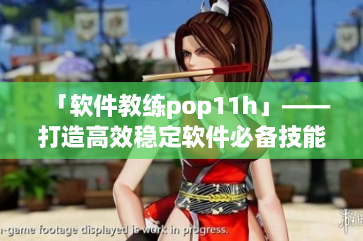 「软件教练pop11h」——打造高效稳定软件必备技能