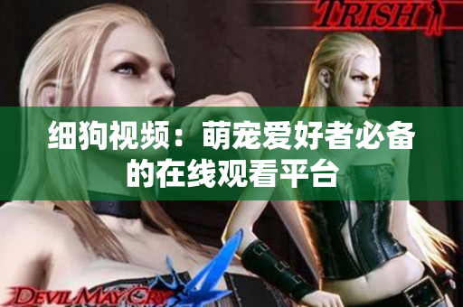 细狗视频：萌宠爱好者必备的在线观看平台
