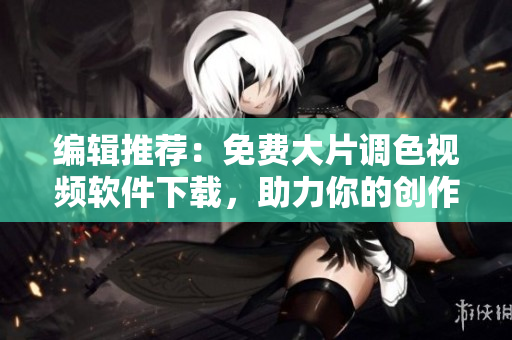 编辑推荐：免费大片调色视频软件下载，助力你的创作