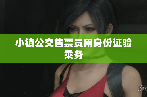 小镇公交售票员用身份证验乘务