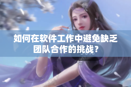 如何在软件工作中避免缺乏团队合作的挑战？