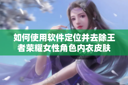 如何使用软件定位并去除王者荣耀女性角色内衣皮肤