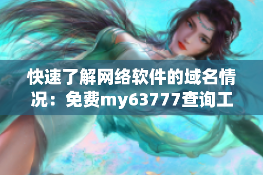 快速了解网络软件的域名情况：免费my63777查询工具
