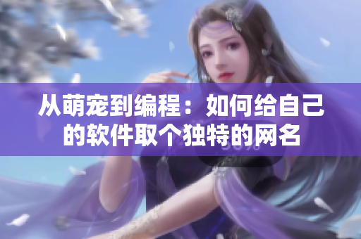 从萌宠到编程：如何给自己的软件取个独特的网名