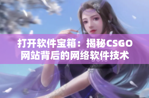 打开软件宝箱：揭秘CSGO网站背后的网络软件技术