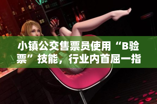 小镇公交售票员使用“B验票”技能，行业内首屈一指！