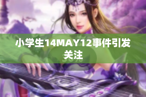 小学生14MAY12事件引发关注