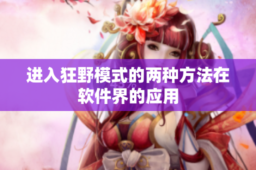 进入狂野模式的两种方法在软件界的应用