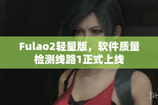 Fulao2轻量版，软件质量检测线路1正式上线