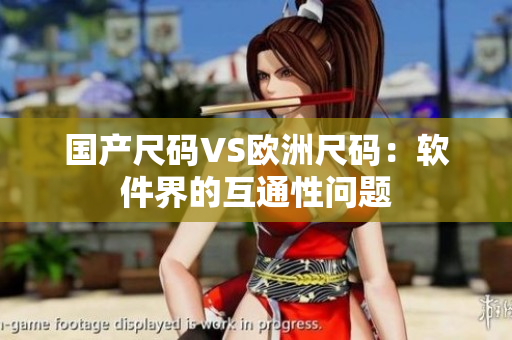 国产尺码VS欧洲尺码：软件界的互通性问题