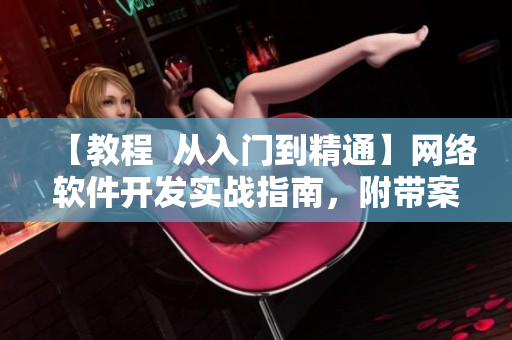 【教程  从入门到精通】网络软件开发实战指南，附带案例练习！